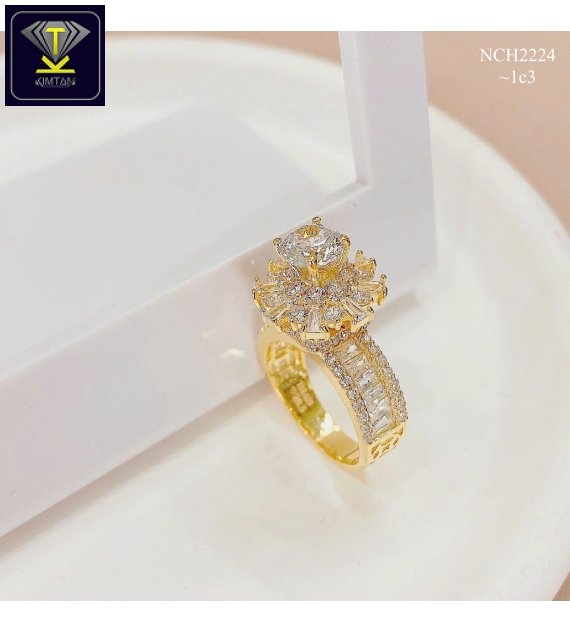 KTG-NCH2224